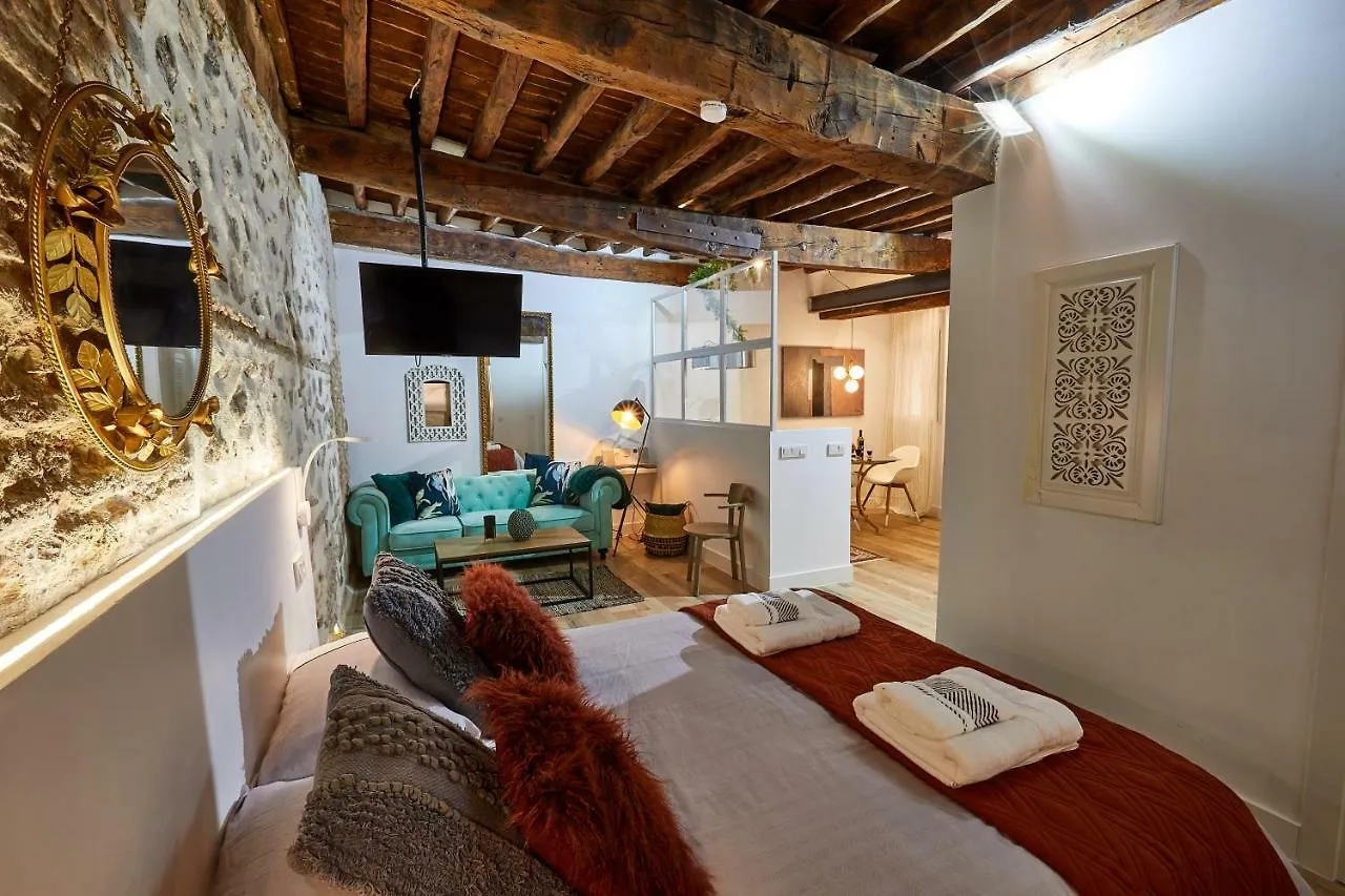 Lofts Amantes De Toledo -Loft Cobertizo Appartement