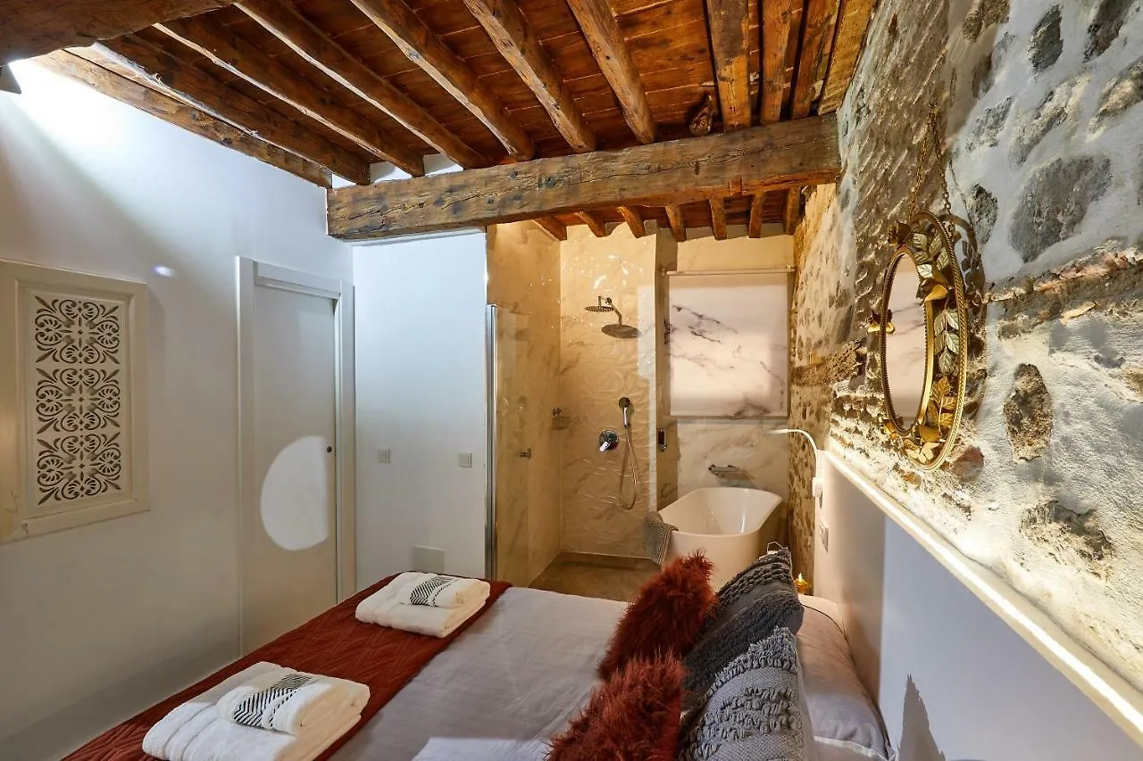 Lofts Amantes De Toledo -Loft Cobertizo Appartement